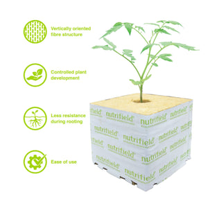 Stonewool Planting Propagation Growing Assist Block | 75x75x65mm | 8 Pack | Nutrifield