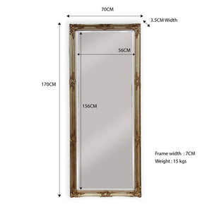 French Provincial Ornate Mirror - Champagne - Medium 70cm x 170cm