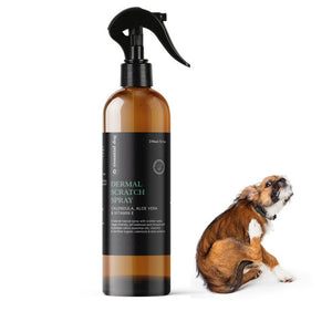 Natural Anti Itch Scratch Spray for Dogs | Aloe, Tea Tree, and Vitamin E