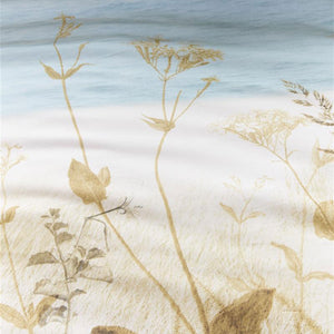 Bedding House | Dunes Natural Cotton | Quilt Cover Set | Queen