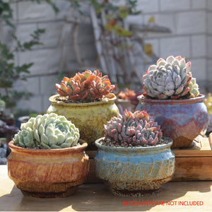 4/5/6 Pots Set Ceramic Clay Pottery Pots | Succulent Flower Planter, Draining Hole (Style 01# 4 Pots Set)