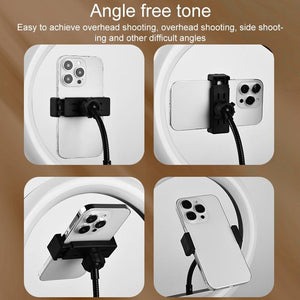 Adjustable 10 LED Fill Light Tripod with Phone Clamp