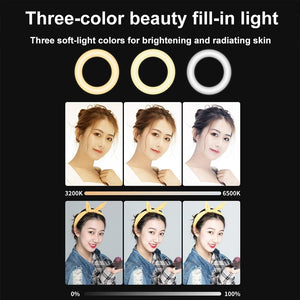 48 LEDs Laptop Camera Beauty Ring Light | Clip Set | 4 - Inch
