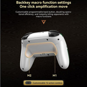 Wireless Gamepad | For Nintendo Switch / Pro | Tooth Design | TBD0603716901 | Black Gold