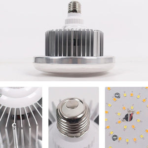 Desktop Photography Stand Kit with Mushroom Fill Light | 80W | 120mm