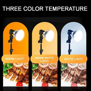 Desktop Photography Stand Kit with Mushroom Fill Light | 80W | 120mm