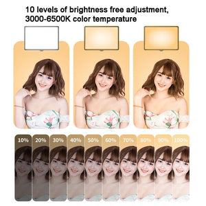 10 Three-Colour Temperature Flat-Panel Live Fill Light with 2.1M Bracket