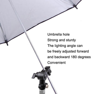 Lightweight D - Shaped Flash Mount | Top Lighting