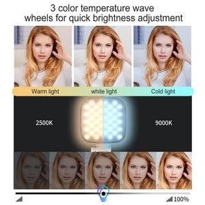 Portable Mini Clip - On LED Fill Light for Video Conferencing & Live Streaming | Pink