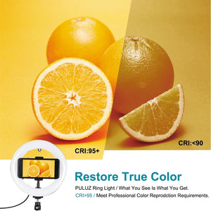 7.9" Dual-Colour LED Ring Light with Desktop Mount & Phone Clamp