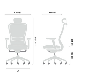 UFOU VX Ergonomic Office Chair | Mesh | Work Computer Gaming Designer | Lion