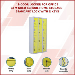 12-Door Locker for Office | Gym | Shed | School | Home Storage | Standard Lock with 2 Keys
