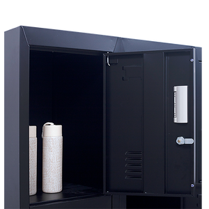12-Door Locker for Office | Gym | Shed | School | Home Storage | Standard Lock with Keys