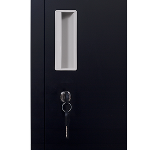 12-Door Locker for Office | Gym | Shed | School | Home Storage | Standard Lock with Keys