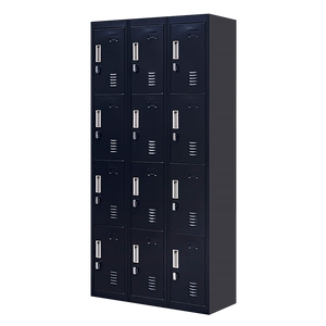 12-Door Locker for Office, Gym, Shed, School, Home Storage | Padlock-Operated