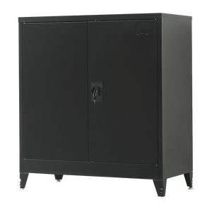 Two-Door Metal Short Cabinet Shelf Storage for Home Office Gym