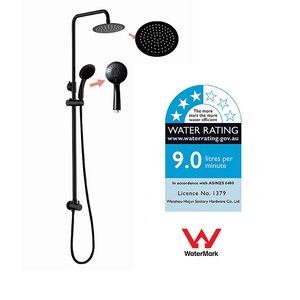 WELS 8" Rain Shower Head Set | Rounded Dual Heads | Faucet | High Pressure | Handheld