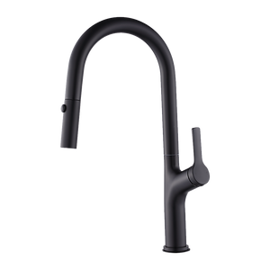 Kitchen, Laundry, Bathroom Basin Sink Pull Out Mixer Tap Faucet | Black