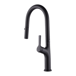 Kitchen, Laundry, Bathroom Basin Sink Pull Out Mixer Tap Faucet | Black