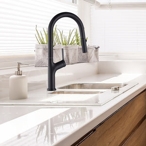 Kitchen, Laundry, Bathroom Basin Sink Pull Out Mixer Tap Faucet | Black