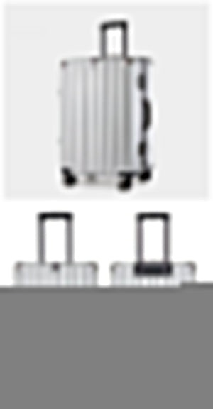 Aluminum Alloy Hard-Shell Suitcase | TSA Lock | 20-Inch Spinner Luggage | Silver