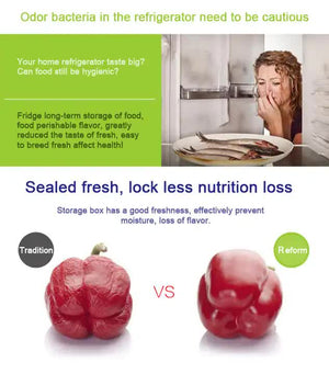 Purple Round Plastic Food Storage Containers Set | Microwave-Safe Bento Boxes with Airtight Lids for Kitchen & Fridge
