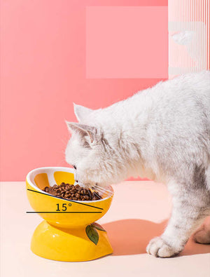 Ceramic Elevated Pet Food Bowl | Cute Lemon Pattern Design | For Cats & Small Dogs