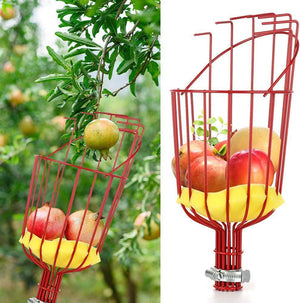Fruit Picker with Telescopic Pole | 4m | Stainless Steel | High Reach Tree Harvester