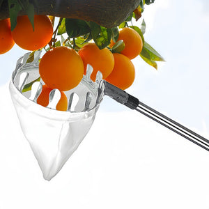 Telescopic Fruit Picker | 1.6m | Collection Bag | Apple Peach Persimmon Harvester