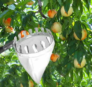 Telescopic Fruit Picker | 2.4m | Collection Bag | Apple Peach Persimmon Harvester