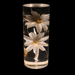 Daisy Eternal Flower Acrylic Table Lamp | Color-Changing LED | USB Rechargeable | Touch Control