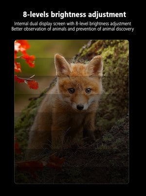 Professional Night Vision Binoculars | HD Digital | 6X Optical Zoom | 2.5K Video & 48MP Photos | Green