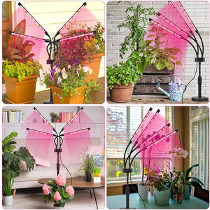 LED Grow Light | 4-Head | Adjustable Full Spectrum | Desktop Plant Lamp | USB Powered | Black
