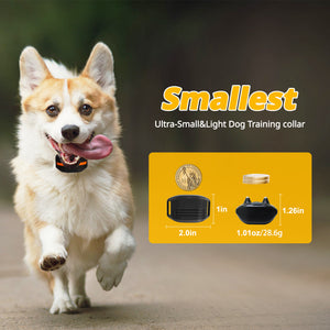 Dog Training Collar with Remote | Ultra-Small & Lightweight | 3 Modes & Adjustable Levels | Black