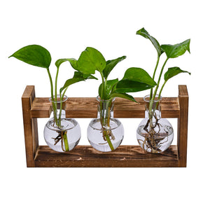 Desktop Plant Propagation Station | Rustic Wooden Stand with 3 Glass Bulb Vases | Brown | Hydroponics & Cuttings