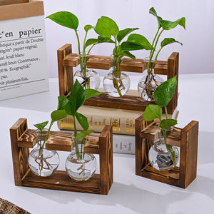 Desktop Plant Propagation Station | Rustic Wooden Stand with 3 Glass Bulb Vases | Brown | Hydroponics & Cuttings