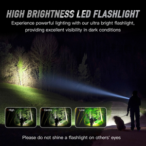 Brillar Aluminium Long Torch | Black