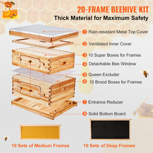 Bee Hive Starter Kit 20 Frame | Beeswax Coated Cedar Wood Langstroth Beehive | 1 Deep + 1 Medium Box with Transparent Windows | For Beginners & Pro Beekeepers