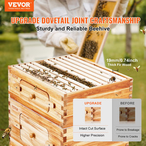 Bee Hive Starter Kit 40 Frame | Beeswax Coated Cedar Wood Langstroth Beehive | 2 Deep + 2 Medium Boxes with Transparent Windows | For Beginners & Pro Beekeepers