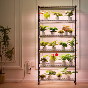 Indoor Plant Stand | 6-Tier Grow Shelf with Lights | 180W | 180cm