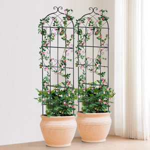 Garden Trellis 2-Pack | 71x20" Rustproof Metal Climbing Plant Support