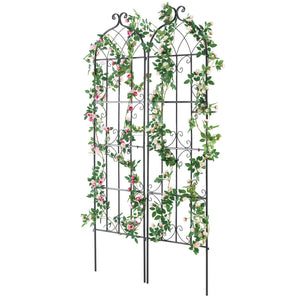 Garden Trellis 2-Pack | 71x20" Rustproof Metal Climbing Plant Support