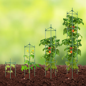 Tomato Cage Set | 4-Pack 162cm Garden Plant Support Stakes