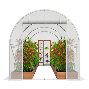 Walk-in Greenhouse | 9.6x6.4x6.2 ft PE Cover with Galvanized Frame