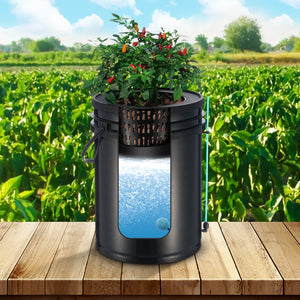 DWC Hydroponics Grow System | 1-Bucket 20L | Deep Water Culture with Top Drip