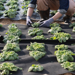 Geotextile Fabric | 10x100ft 8oz Non-Woven Ground Cover for Weed Control | 3.0x30.5m