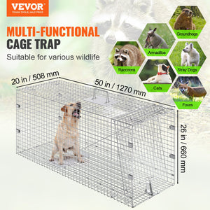 Live Animal Trap Cage | 50x20x26" Folding Galvanized Iron Humane Trap | For Stray Dogs, Raccoons, Foxes, Marmots