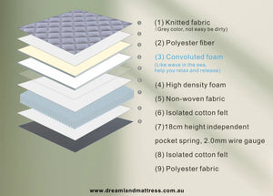 Aster Hybrid 22cm Thickness Euro Top Mattress | Double