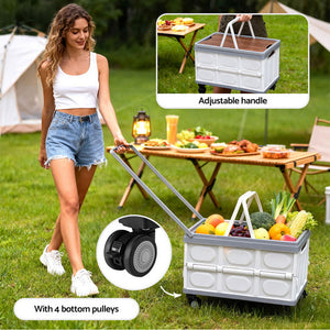 Collapsible Storage Box | 54L | Stackable | Wheels | Plywood Lid | Beige