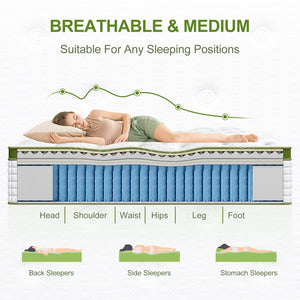 34cm Latex Hybrid Mattress | King | Medium Firm | 5-Zone Pocket Spring